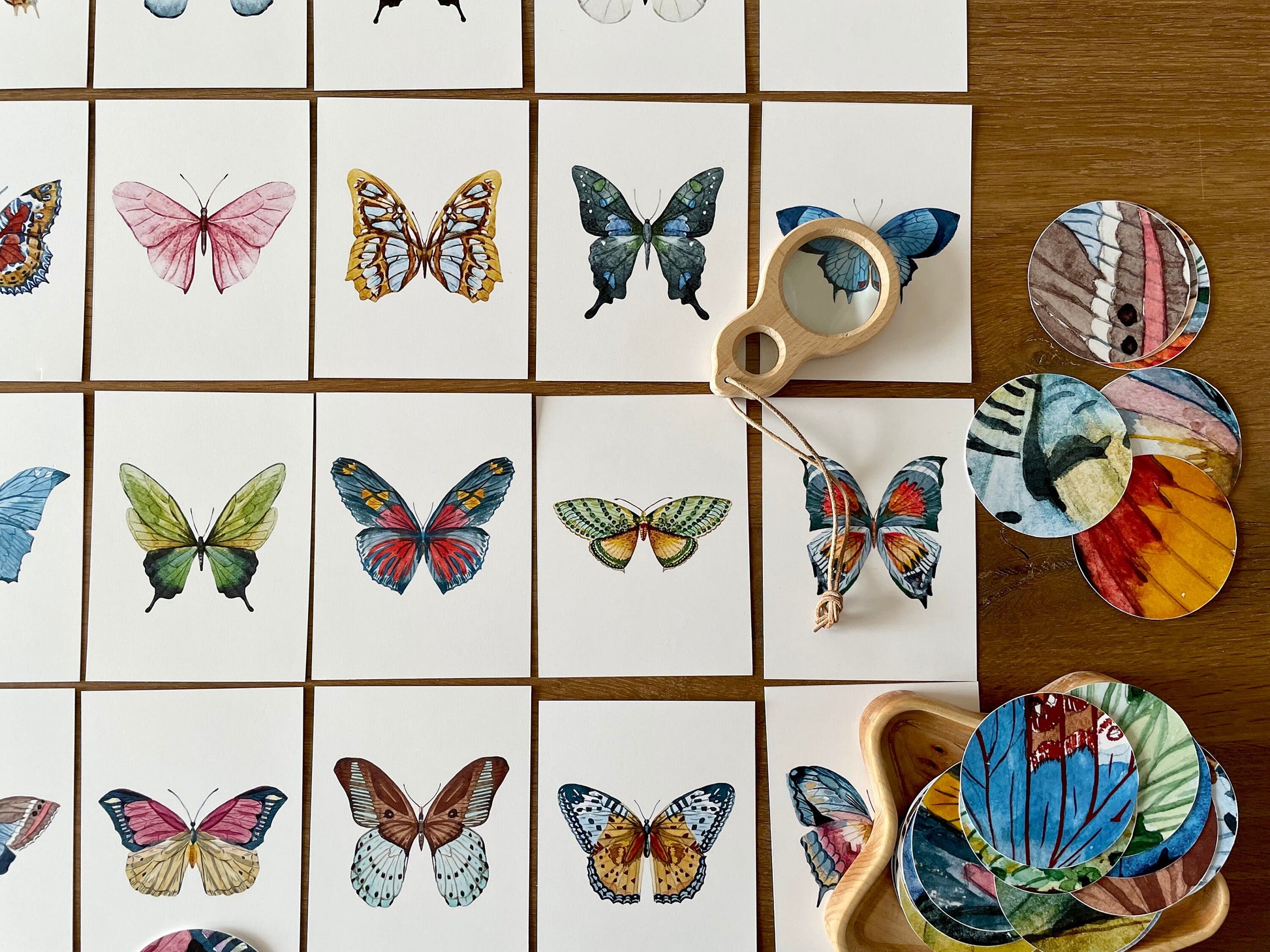 Butterfly Matching Cards, Montessori Materials Printable, Toddler Pattern Matching, Three Part Cards, Nature Study, Homeschool Learning