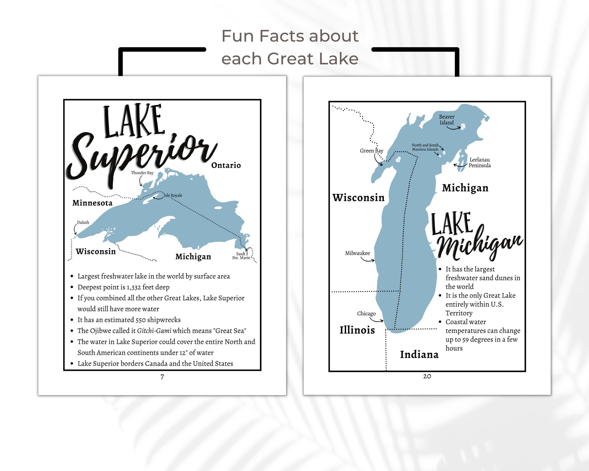 Paddle to the Sea Unit Study, Charlotte Mason Geography Homeschool Printable