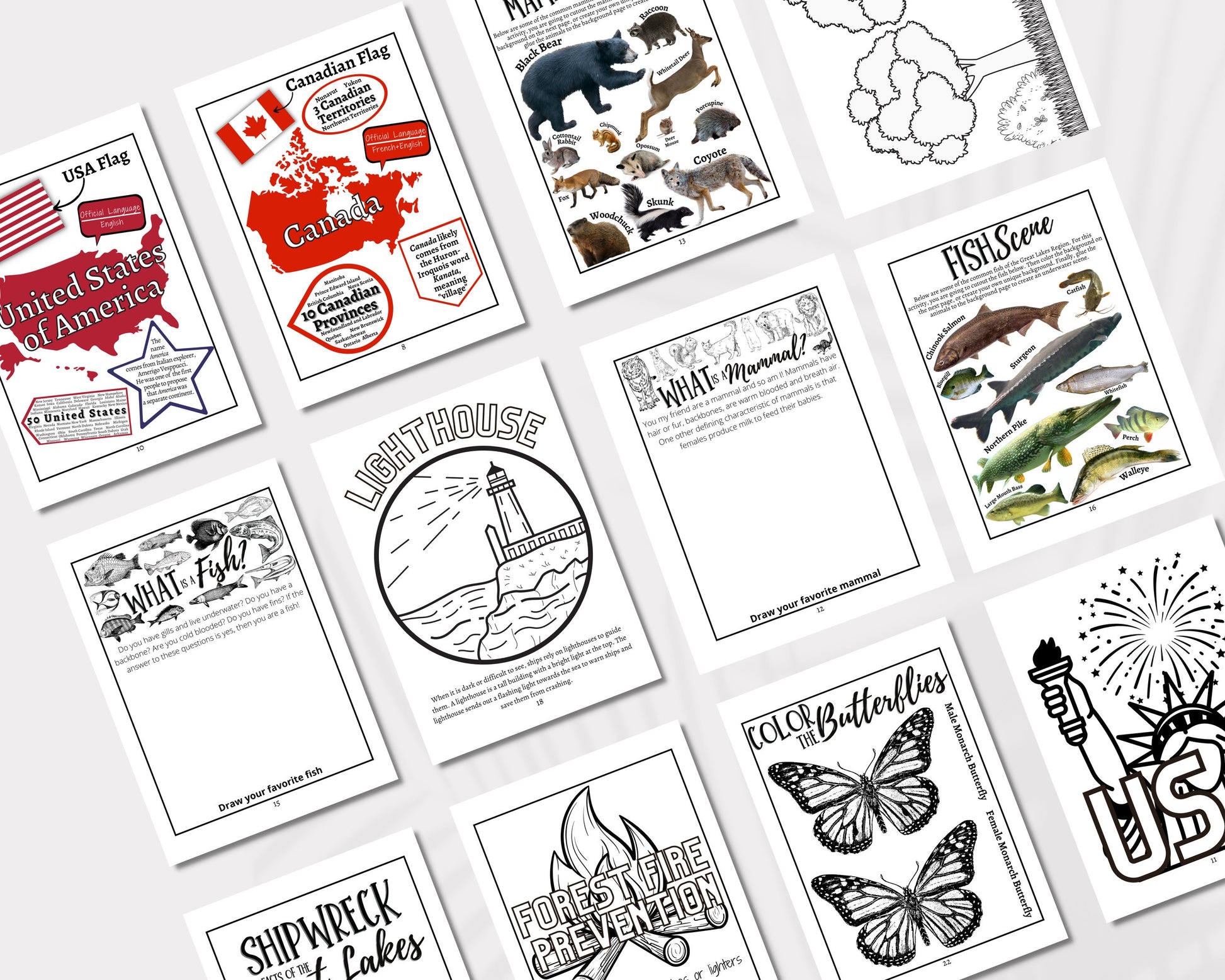 Paddle to the Sea Unit Study, Charlotte Mason Geography Homeschool Printable