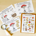 Printable Nature Journal Homeschool Learning Materials Charlotte Mason Nature Study Preschool Curriculum Toddler Busy Book Printable