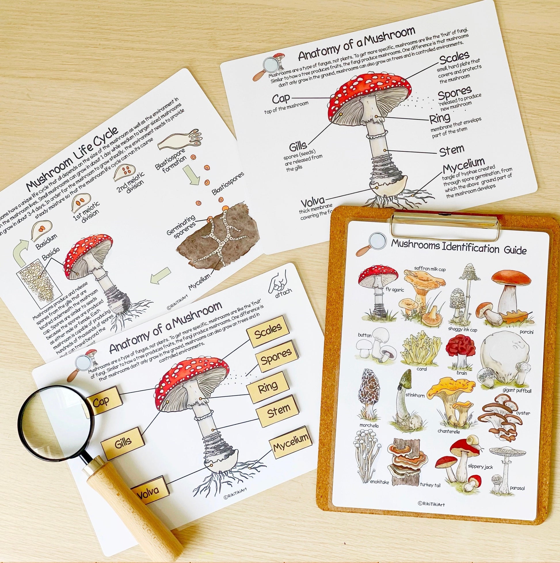 Printable Nature Journal Homeschool Learning Materials Charlotte Mason Nature Study Preschool Curriculum Toddler Busy Book Printable