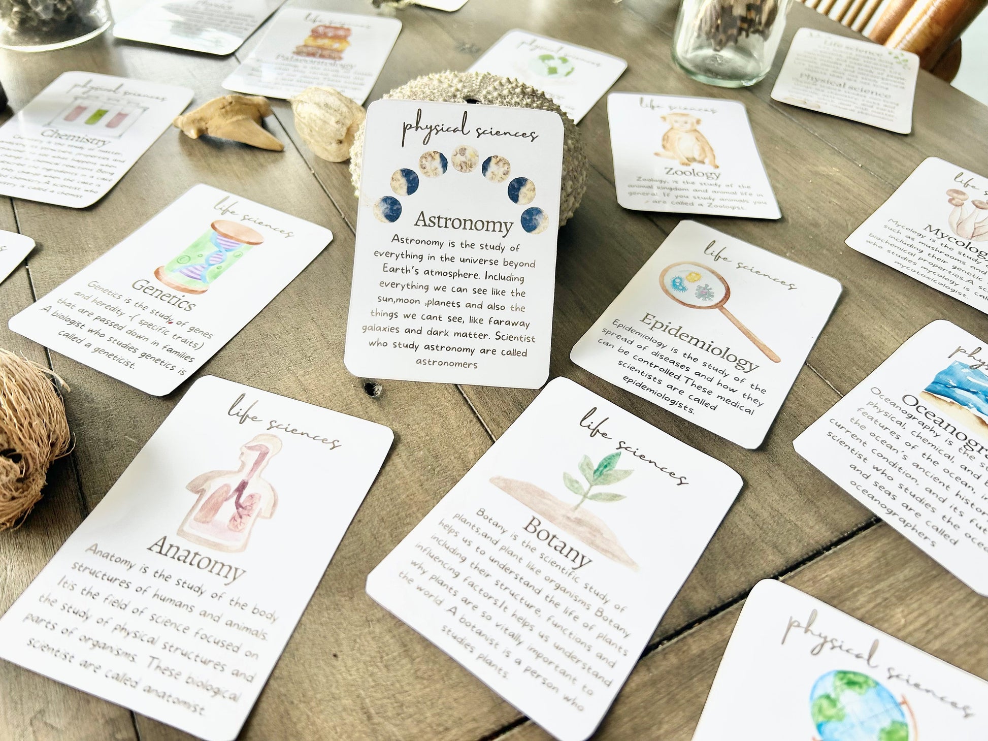 science flash cards