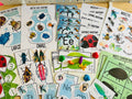 Insect Unit Study, Preschool Curriculum, Preschool Printable, Preschool Learning, Preschool Education, Montessori Materials, Homeschool