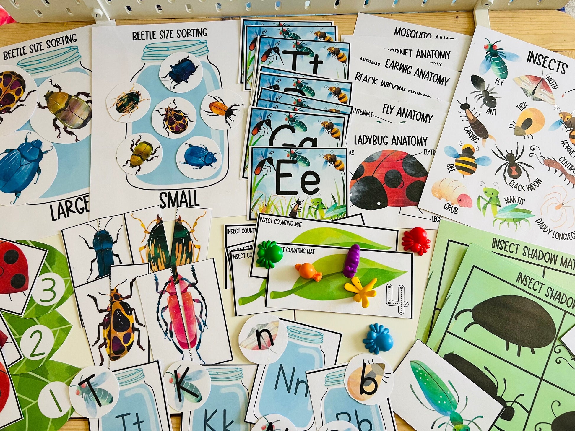 Insect Unit Study, Preschool Curriculum, Preschool Printable, Preschool Learning, Preschool Education, Montessori Materials, Homeschool