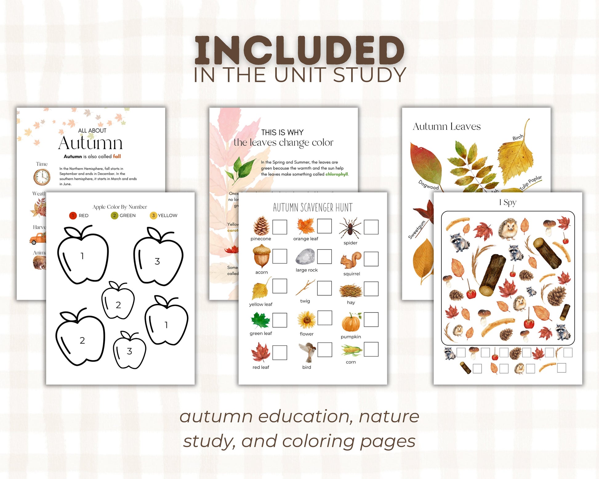 Autumn Preschool Unit Study | Fall Pre-k Printable Curriculum, Autumn Kindergarten Activities
