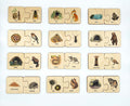 Montessori Wood Animals Puzzle/ Animals Habitat Sorting Game/ Nature Study/ Montessori Matching Activity/ Homeschool Preschooler activity