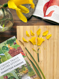 Homestead Gardens Unit Study - Curious Trails | Plant Study | Homeschool Curriculum