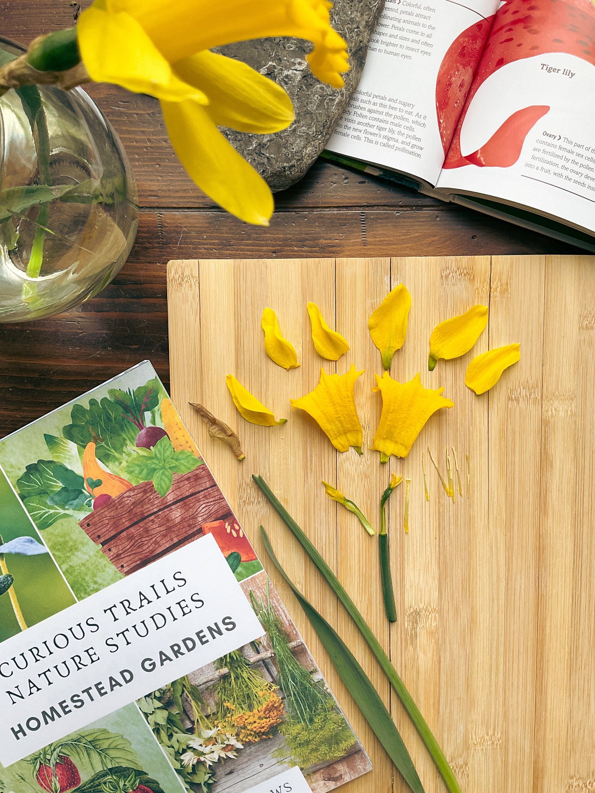 Homestead Gardens Unit Study - Curious Trails | Plant Study | Homeschool Curriculum