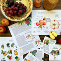 Homestead Gardens Unit Study - Curious Trails | Plant Study | Homeschool Curriculum