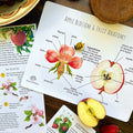 Homestead Gardens Unit Study - Curious Trails | Plant Study | Homeschool Curriculum