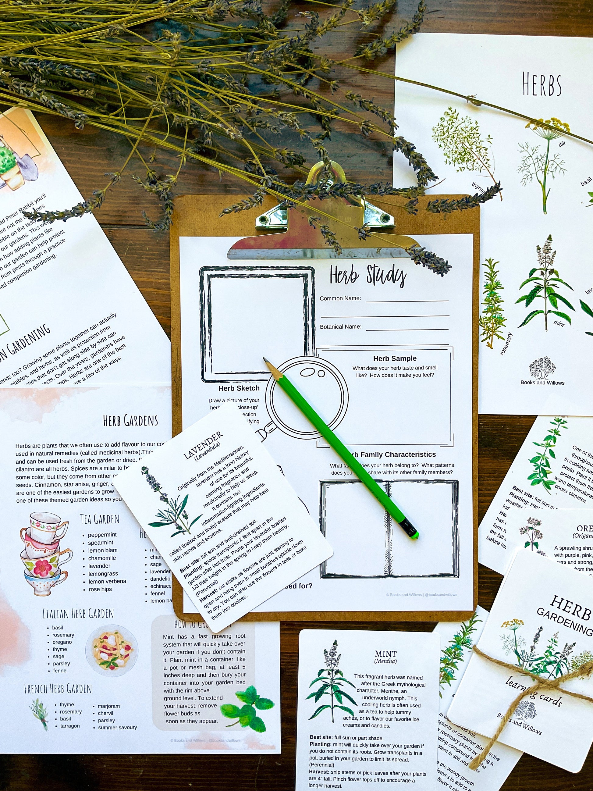 Homestead Gardens Unit Study - Curious Trails | Plant Study | Homeschool Curriculum