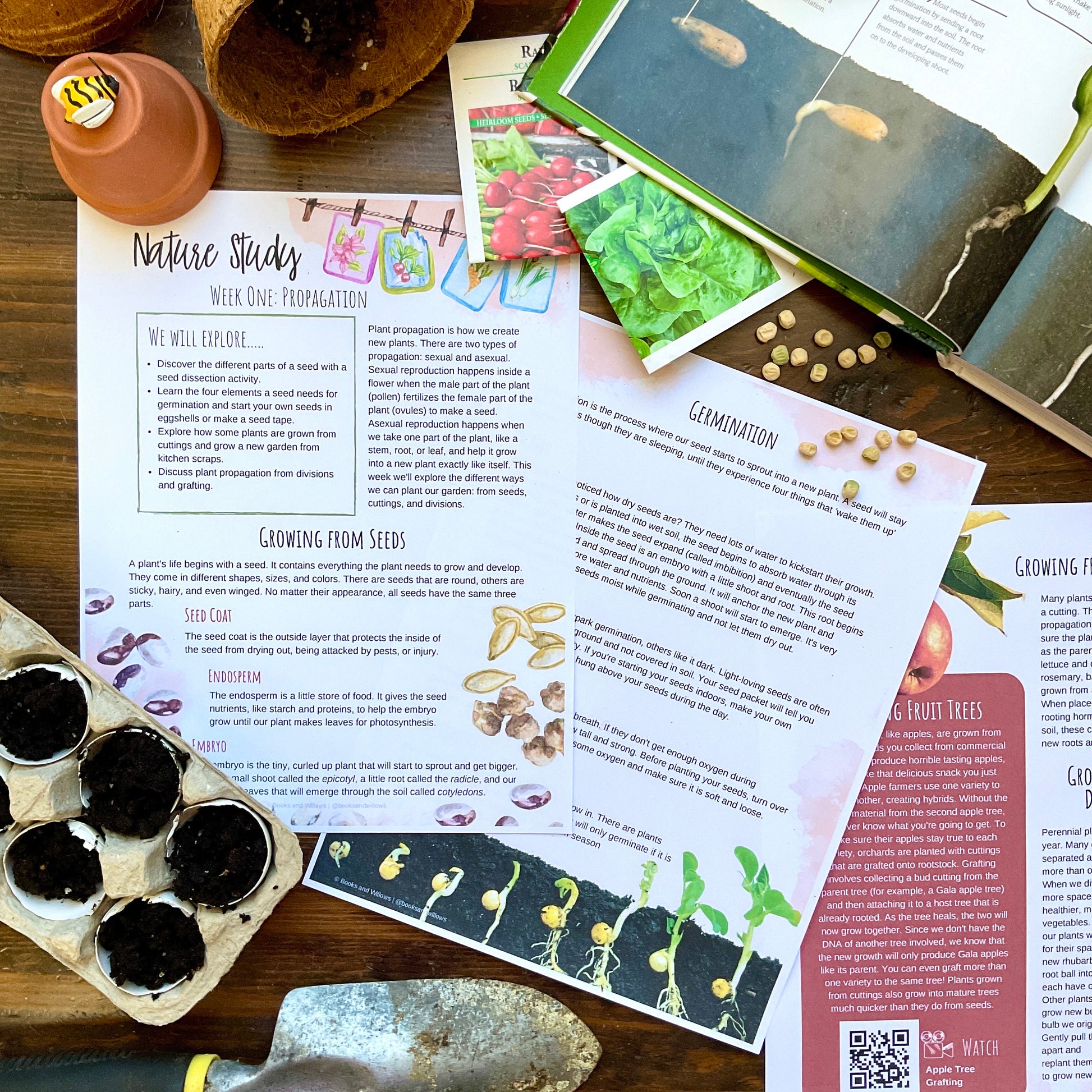 Homestead Gardens Unit Study - Curious Trails | Plant Study | Homeschool Curriculum