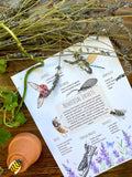 Homestead Gardens Unit Study - Curious Trails | Plant Study | Homeschool Curriculum
