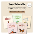 Montessori Elementary Curriculum Checklist | Homeschool Planning Guide | Educational Tracker Ages 6-12 | Teacher Parent Resource