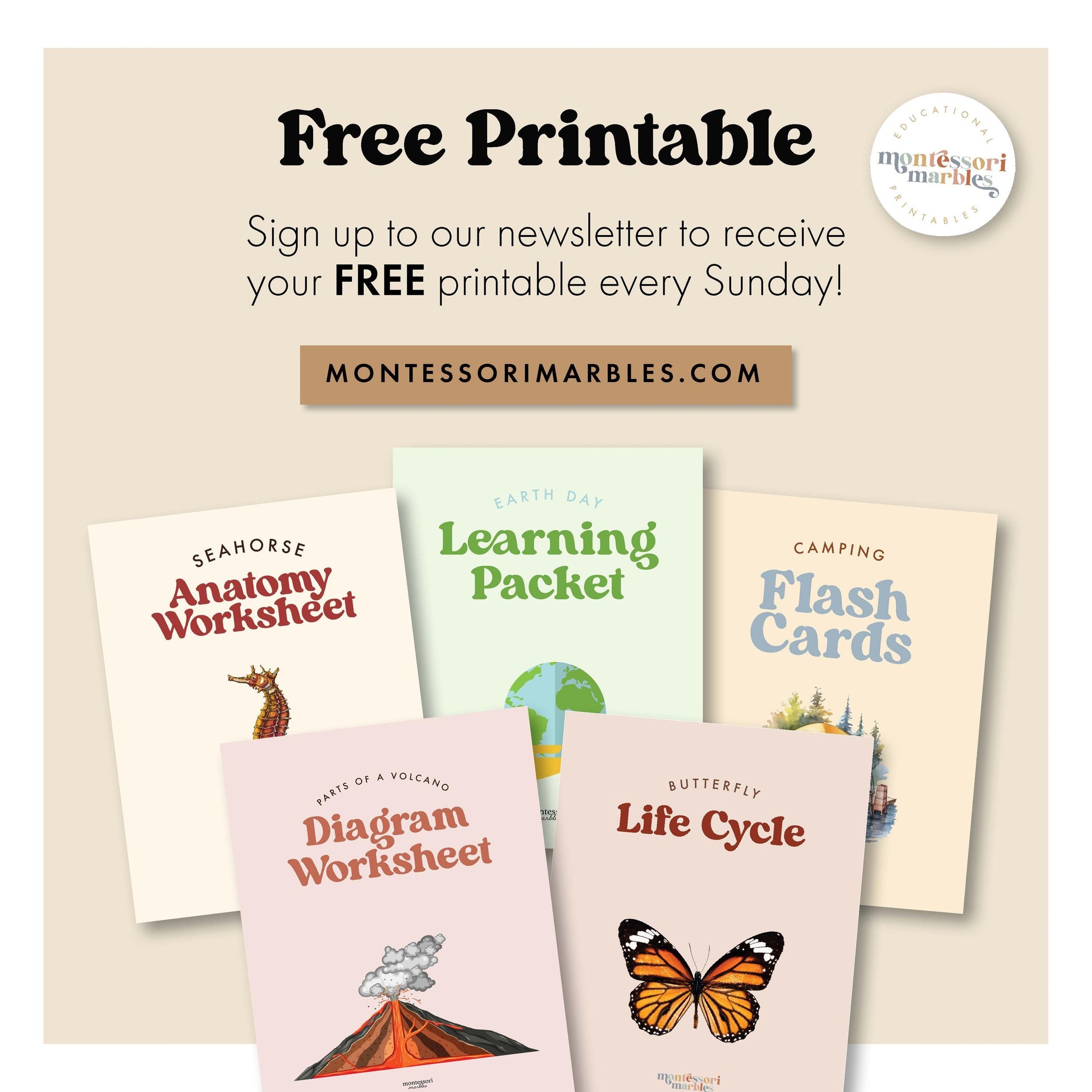 Montessori Elementary Curriculum Checklist | Homeschool Planning Guide | Educational Tracker Ages 6-12 | Teacher Parent Resource