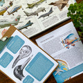Biomimicry Unit Study - Curious Trails | Science Unit | Homeschool Curriculum