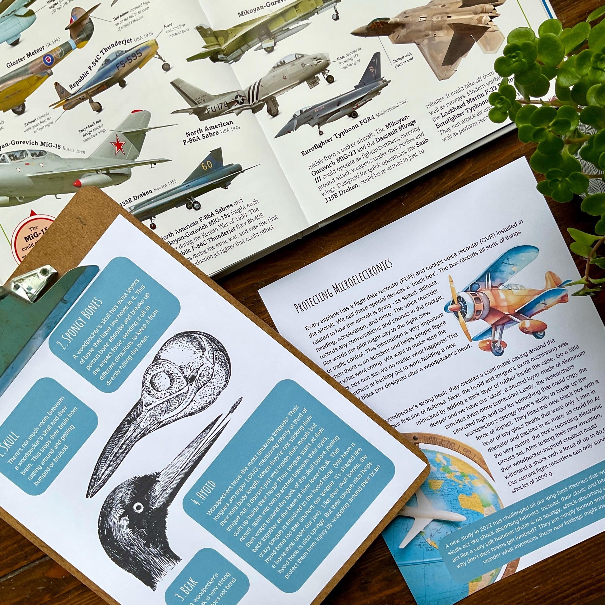 Biomimicry Unit Study - Curious Trails | Science Unit | Homeschool Curriculum