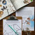 Biomimicry Unit Study - Curious Trails | Science Unit | Homeschool Curriculum