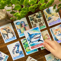 Biomimicry Unit Study - Curious Trails | Science Unit | Homeschool Curriculum