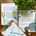 Biomimicry Unit Study - Curious Trails | Science Unit | Homeschool Curriculum