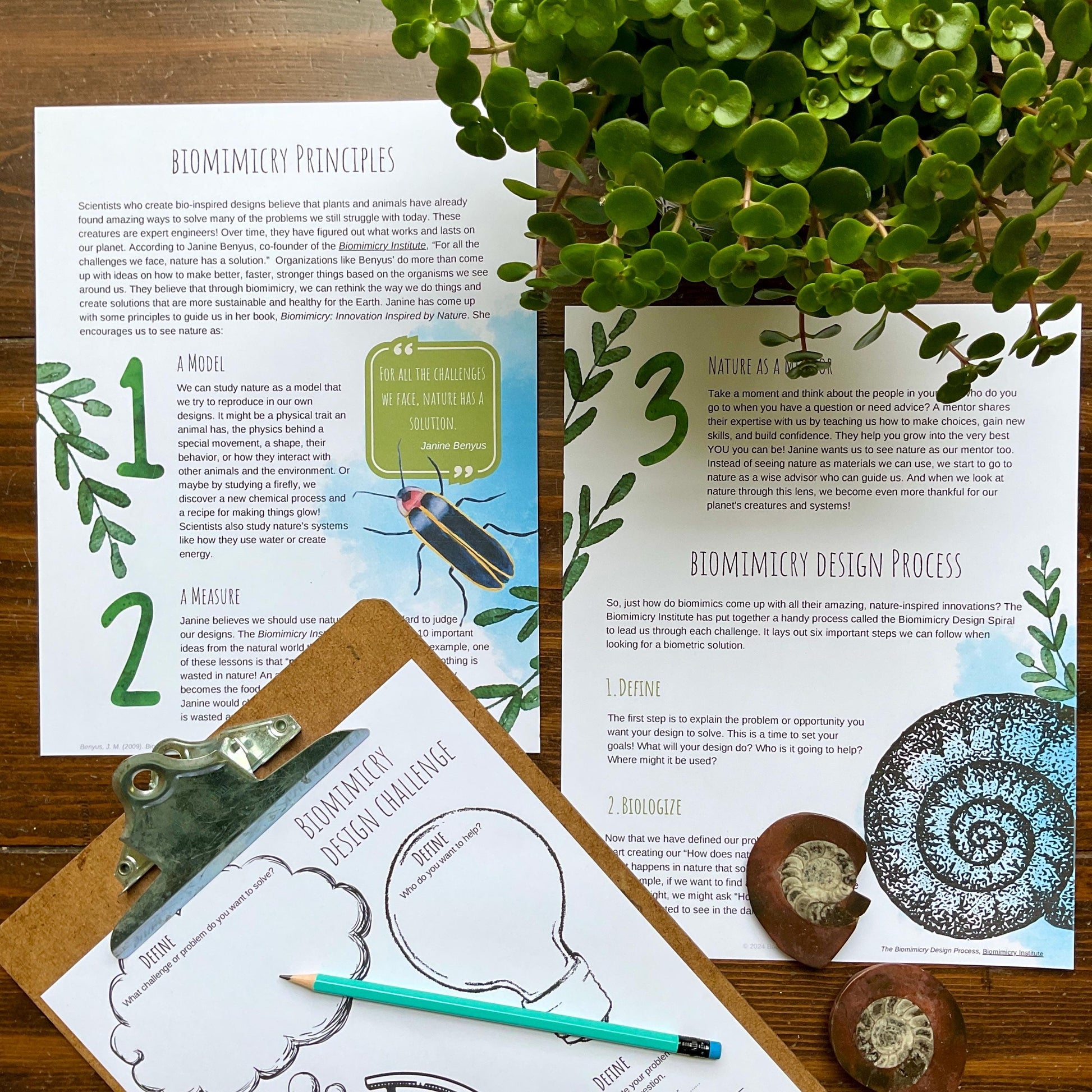 Biomimicry Unit Study - Curious Trails | Science Unit | Homeschool Curriculum