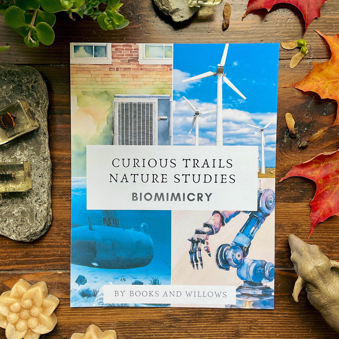 Biomimicry Unit Study - Curious Trails | Science Unit | Homeschool Curriculum