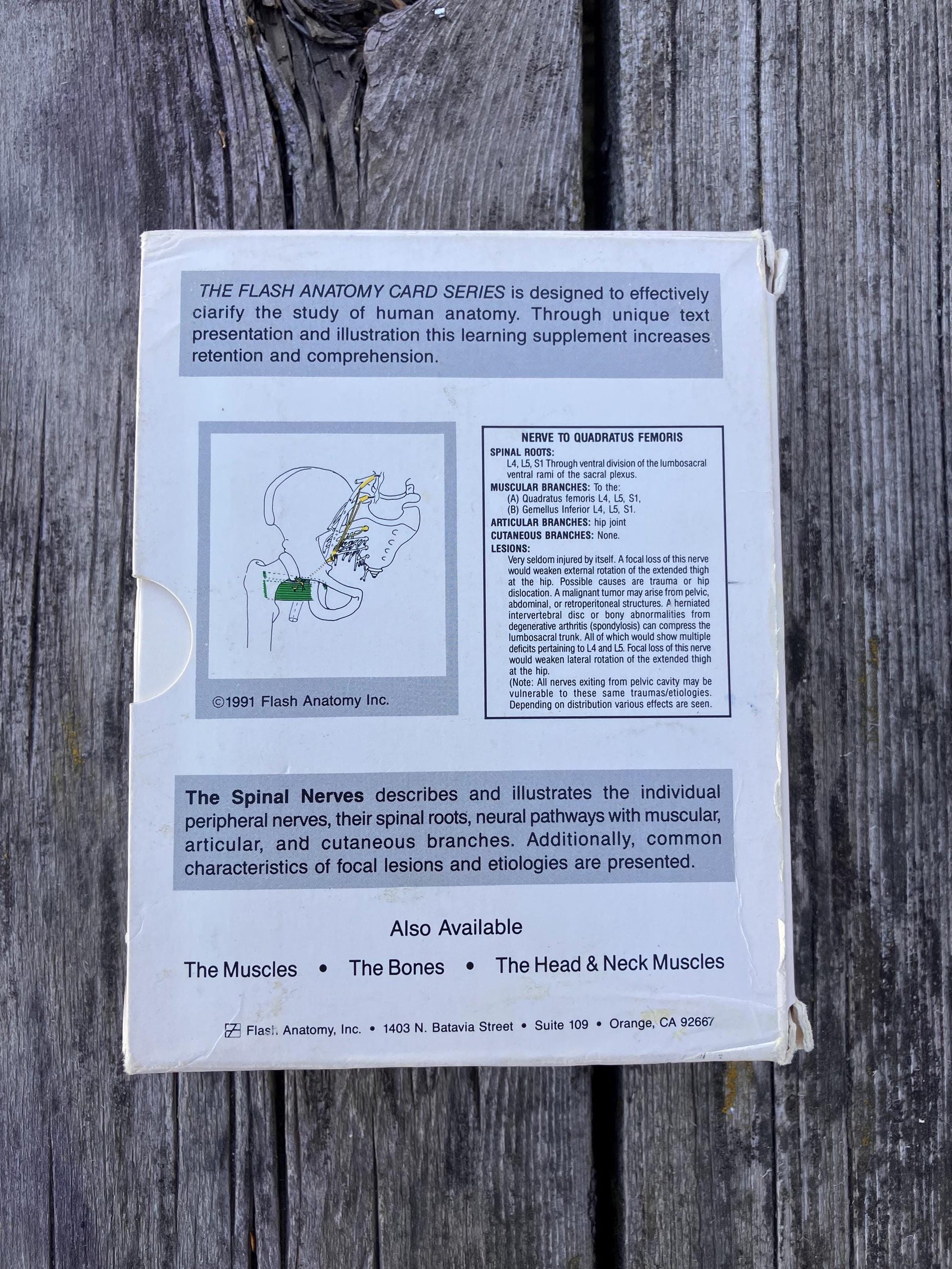 Flash Anatomy The Spinal Nerves by Andrew Paul Bonsall 1991 First Edition Vintage Flash Cards for Medical Students