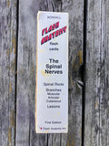 Flash Anatomy The Spinal Nerves by Andrew Paul Bonsall 1991 First Edition Vintage Flash Cards for Medical Students