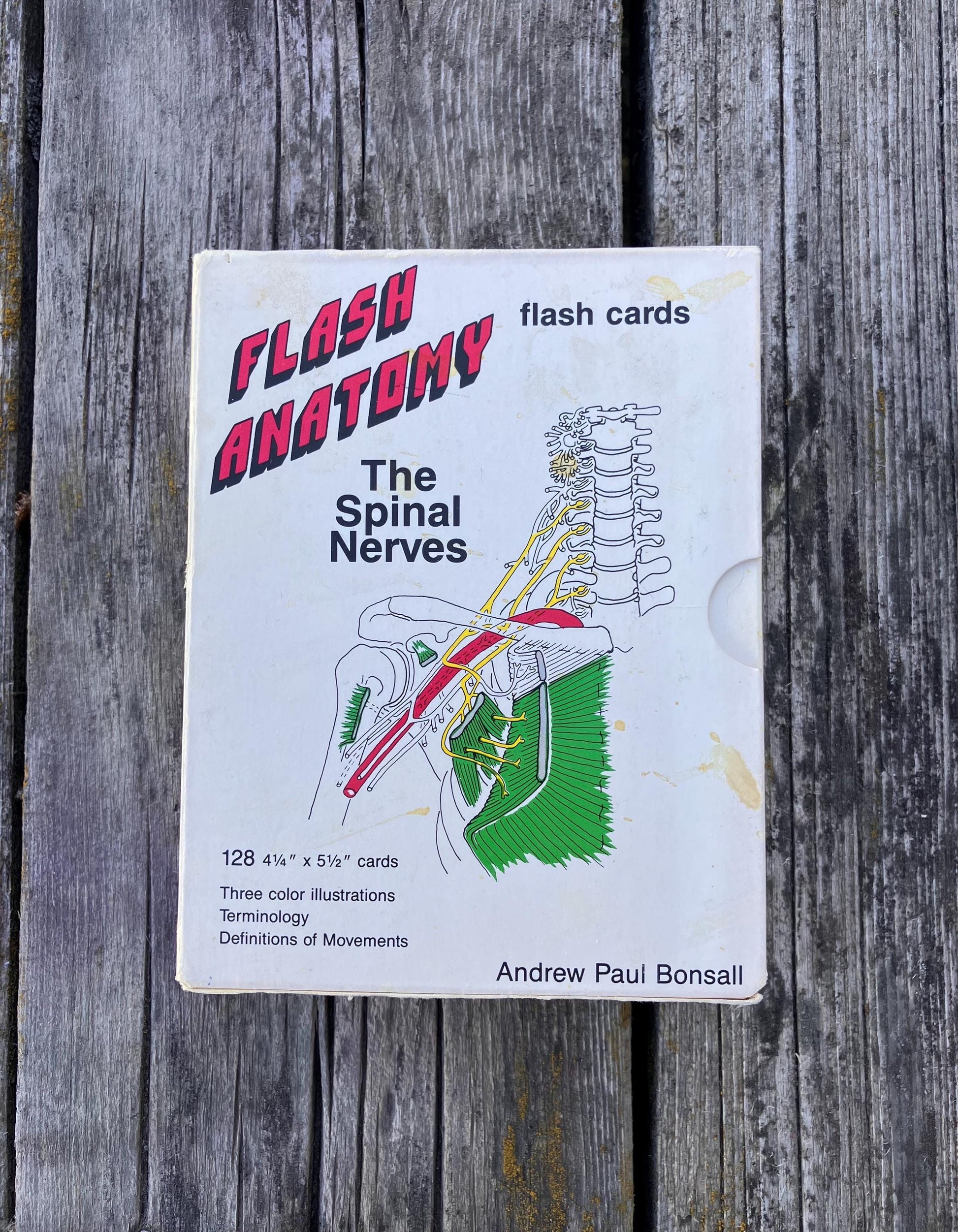 Flash Anatomy The Spinal Nerves by Andrew Paul Bonsall 1991 First Edition Vintage Flash Cards for Medical Students