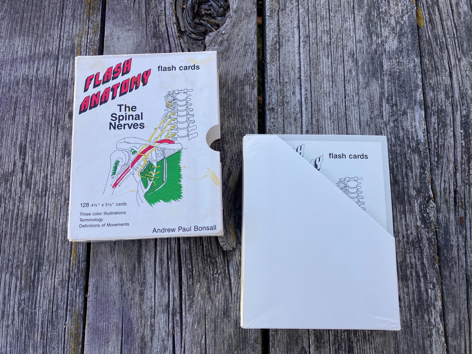 Flash Anatomy The Spinal Nerves by Andrew Paul Bonsall 1991 First Edition Vintage Flash Cards for Medical Students