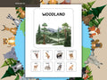 Animal Habitat Matching Game | Montessori Nature Activity | Preschool Learn Sort Cards | Printable Science Education for Toddlers | Velcro