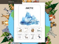 Animal Habitat Matching Game | Montessori Nature Activity | Preschool Learn Sort Cards | Printable Science Education for Toddlers | Velcro