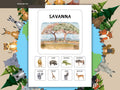Animal Habitat Matching Game | Montessori Nature Activity | Preschool Learn Sort Cards | Printable Science Education for Toddlers | Velcro