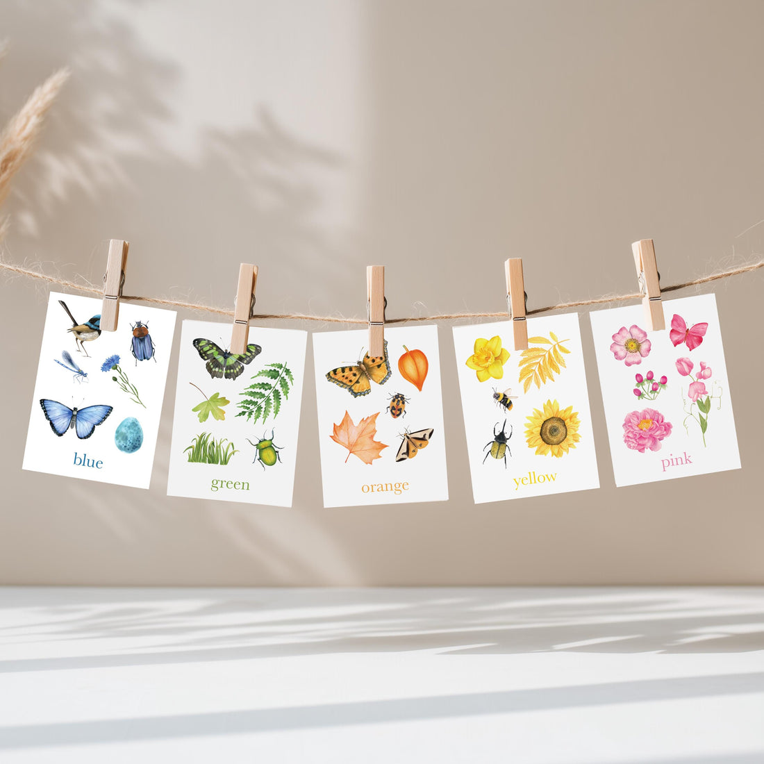 Colour Nature Flashcards, Nature Inspired,  Printable Colour Flashcards for Kids, Educational Printable Cards, Montessori Flashcards