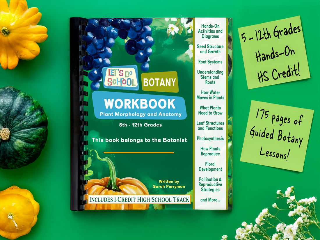 Botany Workbook for Homeschoolers - Grades 5–12 - Creative, Credit-Worthy Plant Science - Homeschool Middle School - Neurodivergent Friendly