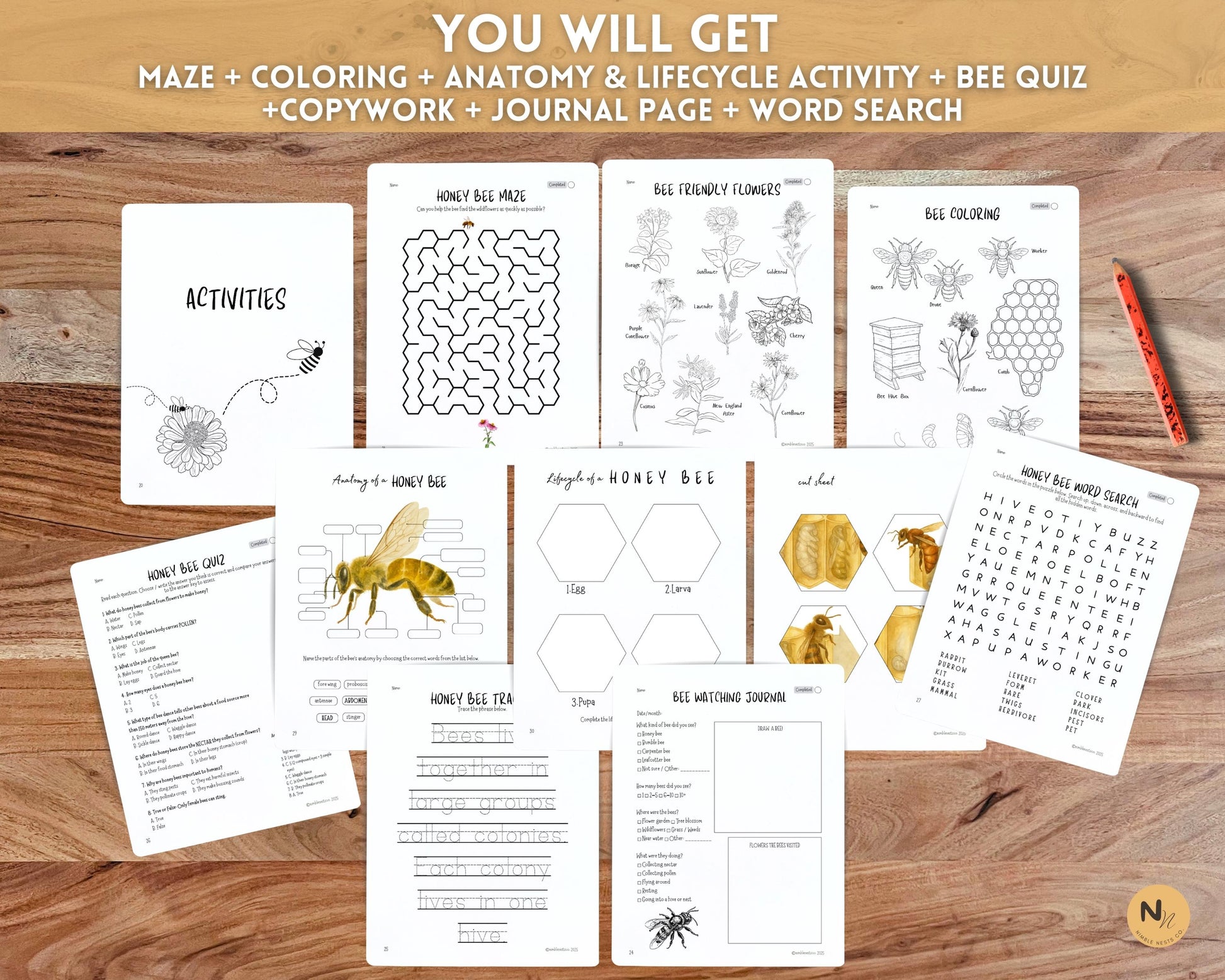 Honey Bee Unit Study,Bee Day activity,Nature study,Summer Homeschool printable,Bees and wildflowers,Bee lifecycle,Beekeeping study