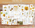Honey Bee Unit Study,Bee Day activity,Nature study,Summer Homeschool printable,Bees and wildflowers,Bee lifecycle,Beekeeping study