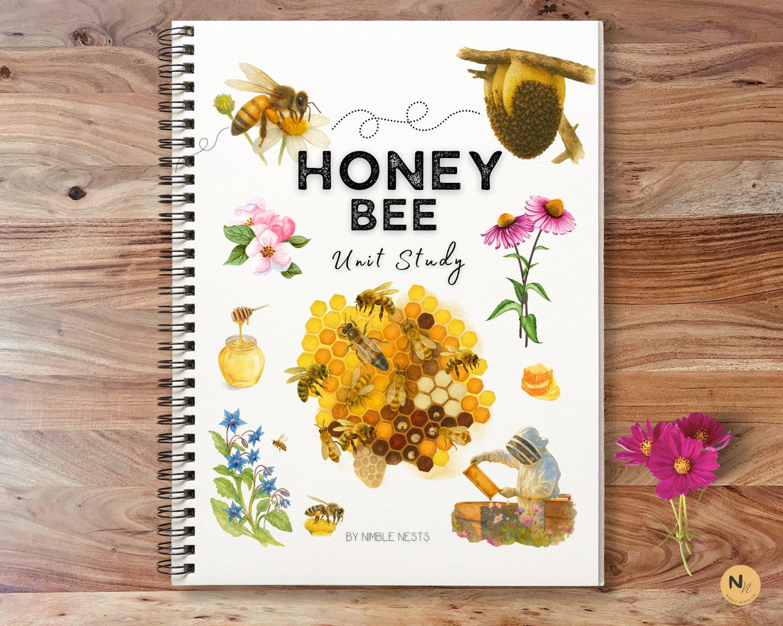 Honey Bee Unit Study,Bee Day activity,Nature study,Summer Homeschool printable,Bees and wildflowers,Bee lifecycle,Beekeeping study