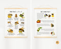 Honey Bee Unit Study,Bee Day activity,Nature study,Summer Homeschool printable,Bees and wildflowers,Bee lifecycle,Beekeeping study