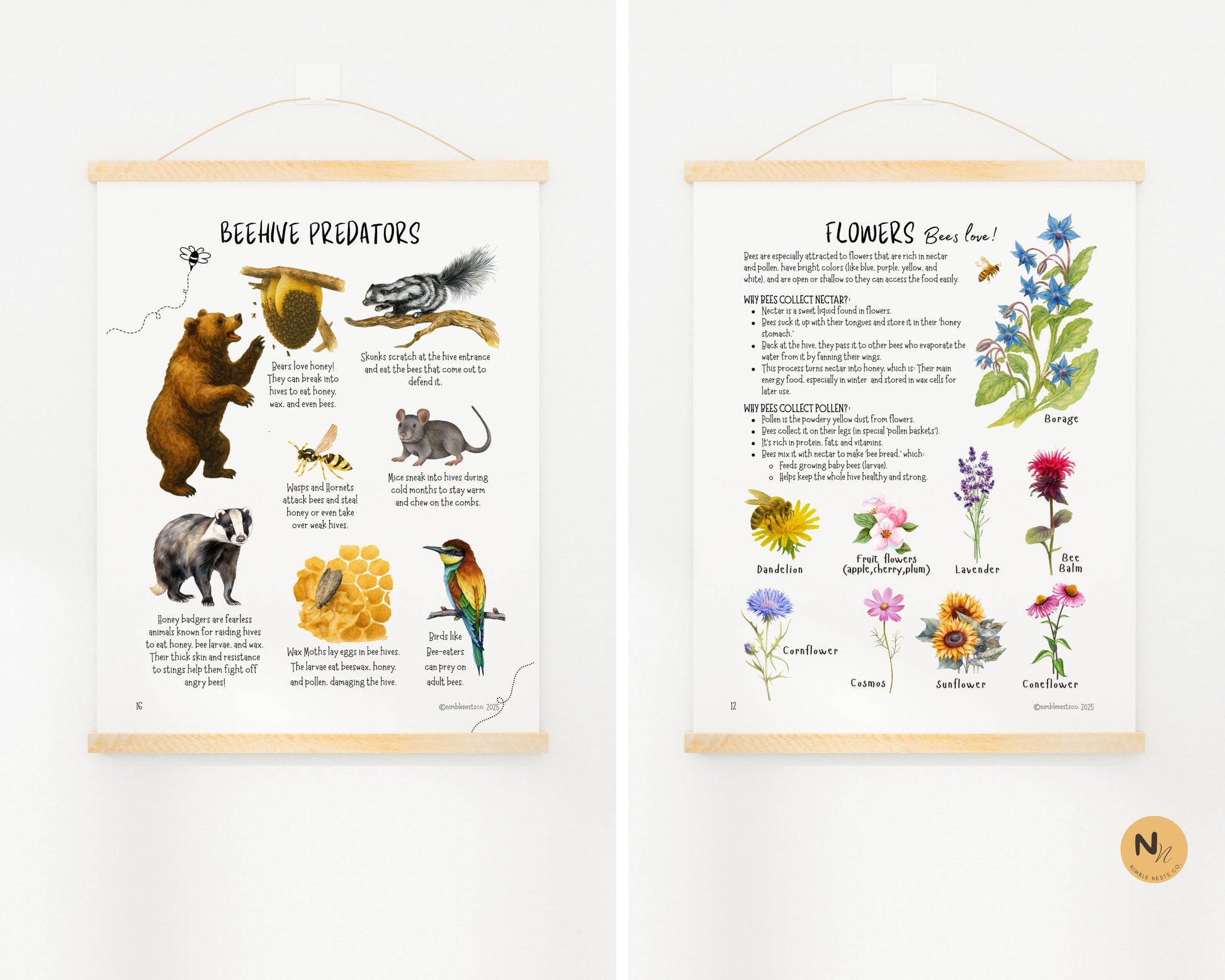 Honey Bee Unit Study,Bee Day activity,Nature study,Summer Homeschool printable,Bees and wildflowers,Bee lifecycle,Beekeeping study
