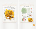 Honey Bee Unit Study,Bee Day activity,Nature study,Summer Homeschool printable,Bees and wildflowers,Bee lifecycle,Beekeeping study