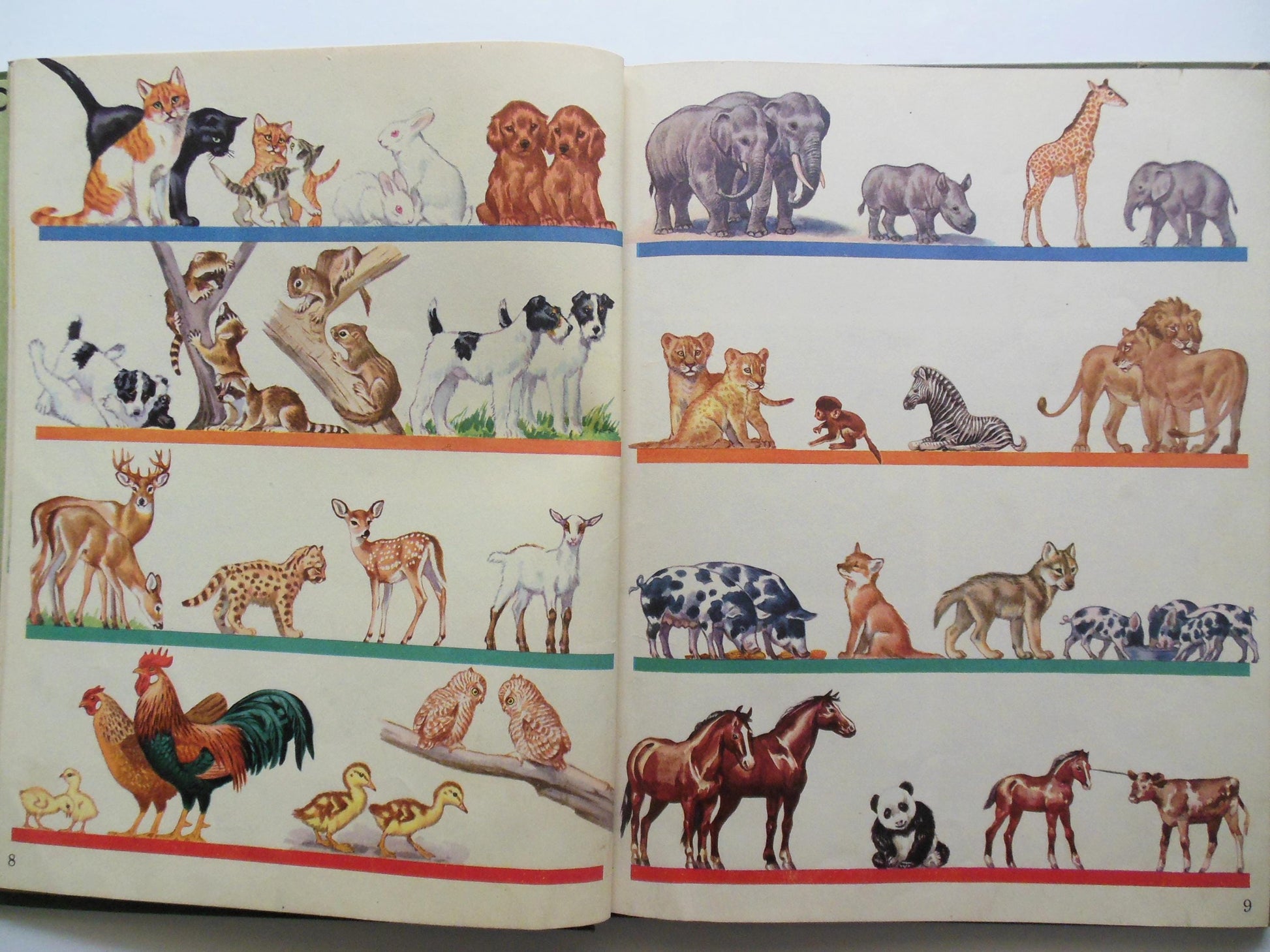 All Around Us Children's Book B, Basic Studies in Science Curriculum Foundation Series, Scott Foresman Copyright 1944