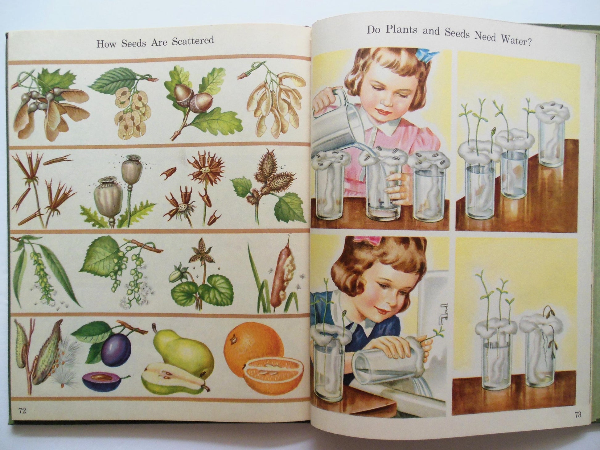 All Around Us Children's Book B, Basic Studies in Science Curriculum Foundation Series, Scott Foresman Copyright 1944