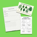 Rainforest homeschool unit, K-2 printable, jungle theme activities, preschool curriculum, 5 day lesson plan, PDF pack, science math ELA