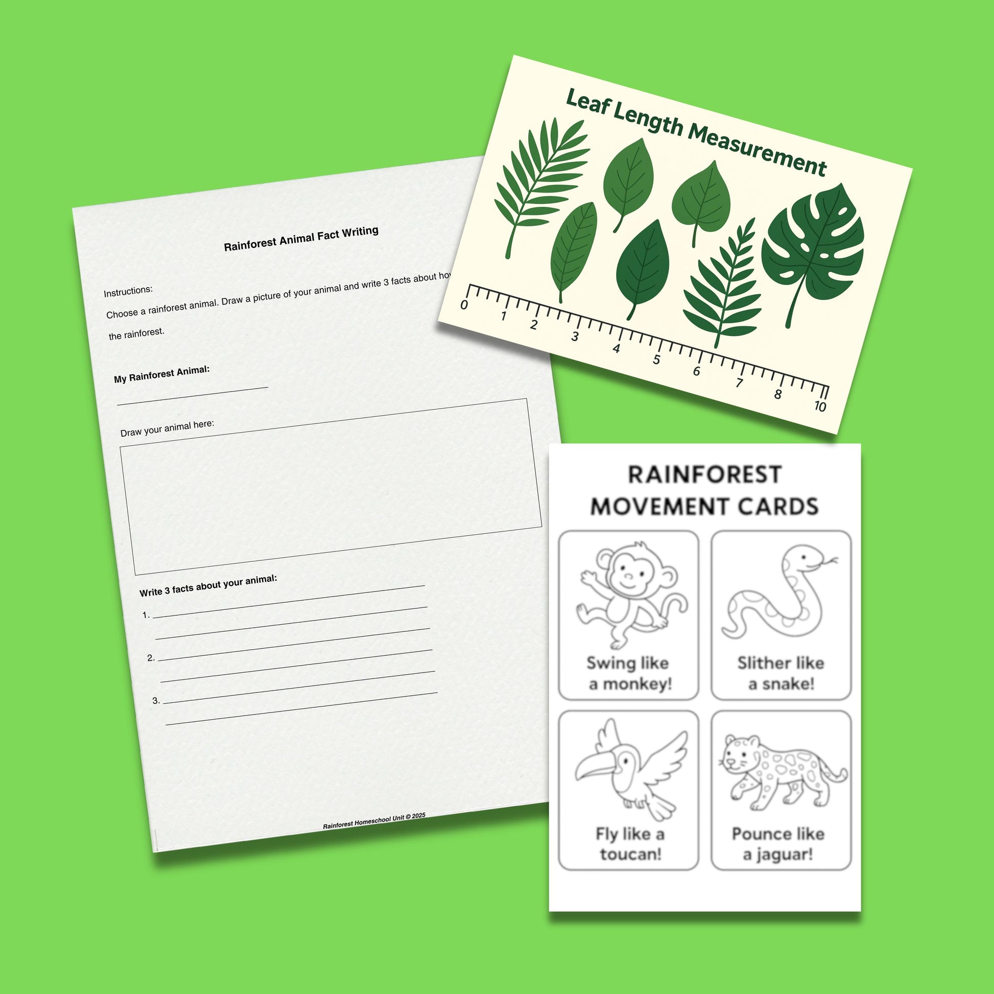 Rainforest homeschool unit, K-2 printable, jungle theme activities, preschool curriculum, 5 day lesson plan, PDF pack, science math ELA