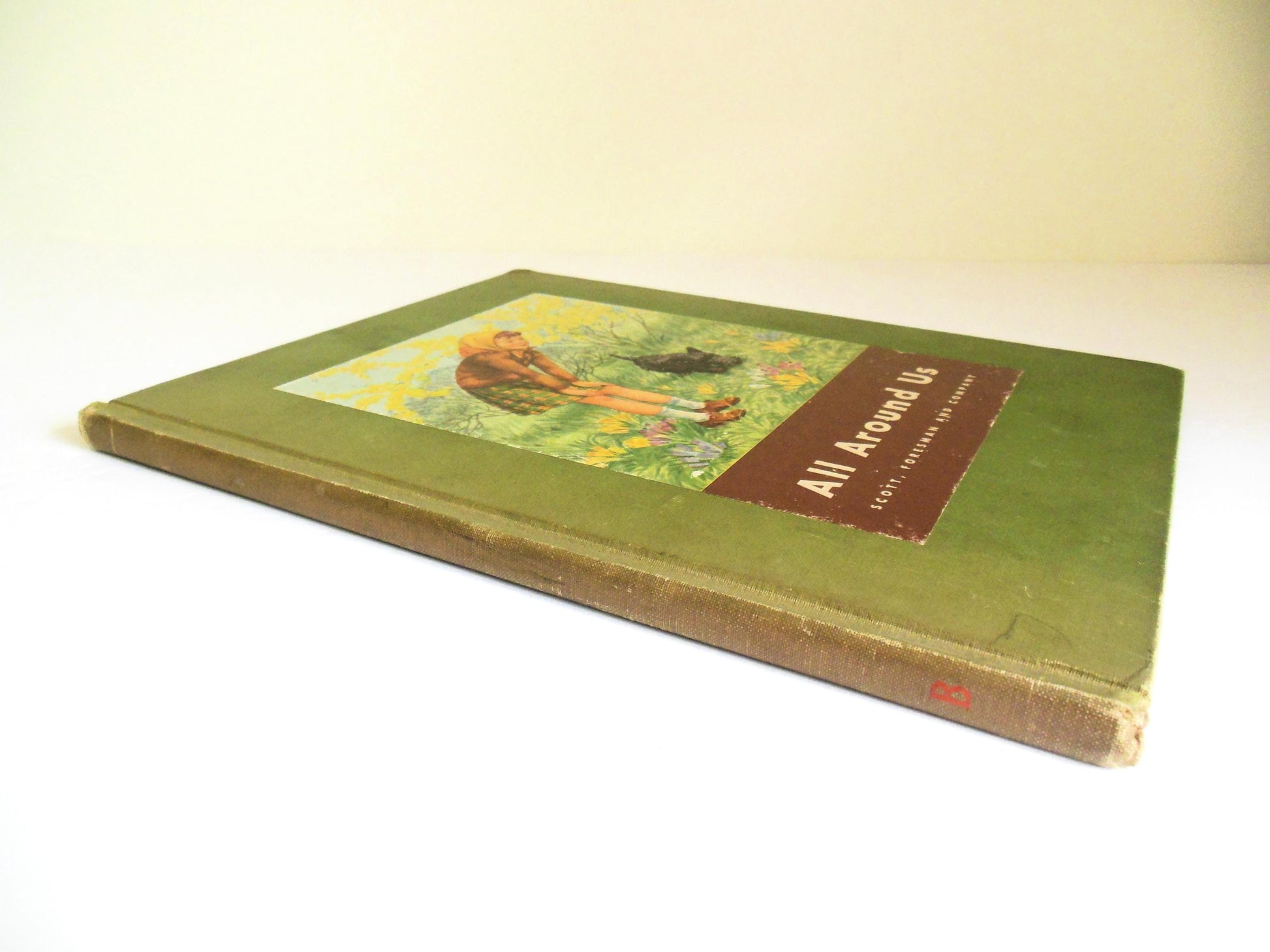 All Around Us Children's Book B, Basic Studies in Science Curriculum Foundation Series, Scott Foresman Copyright 1944