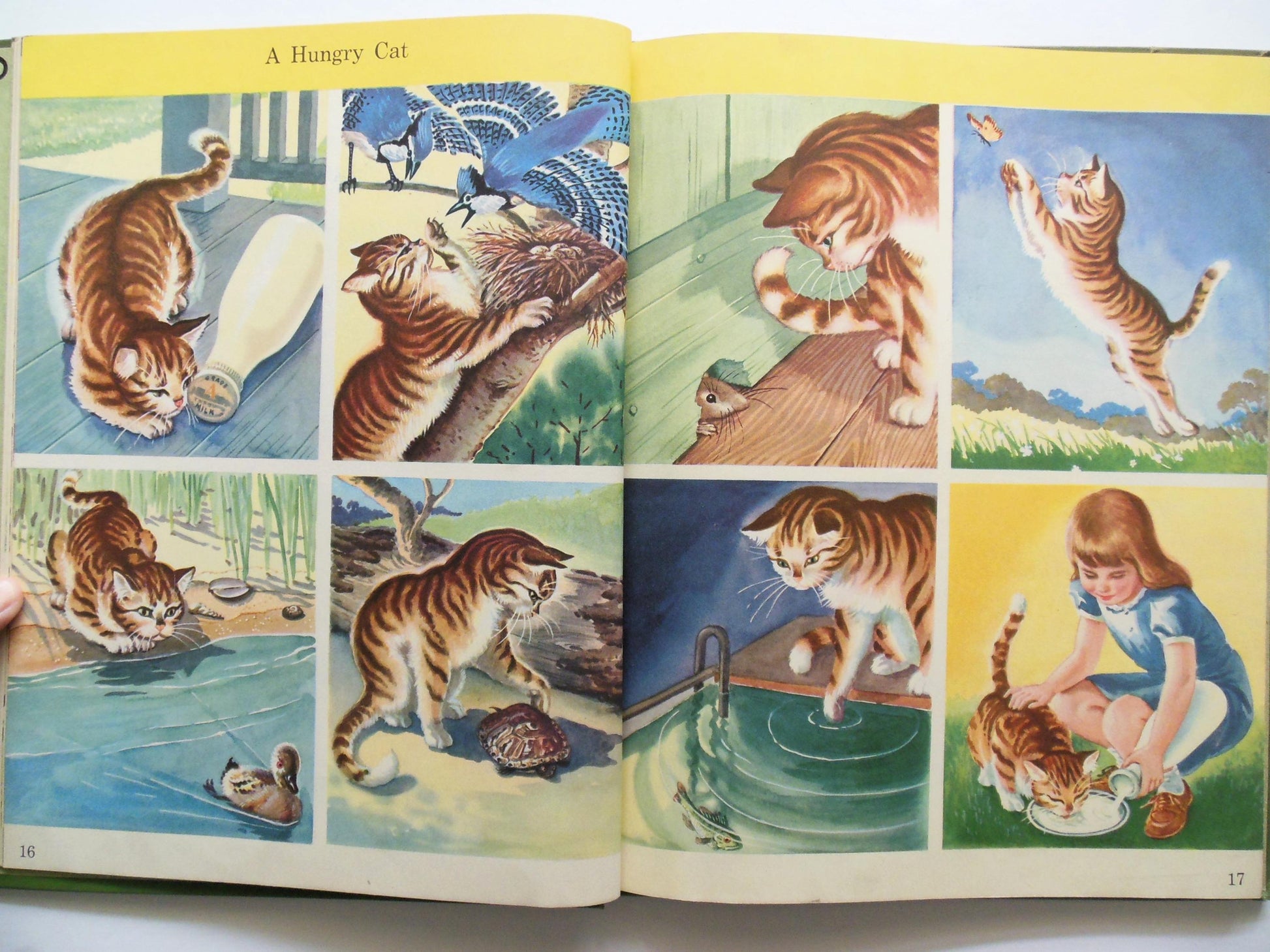All Around Us Children's Book B, Basic Studies in Science Curriculum Foundation Series, Scott Foresman Copyright 1944
