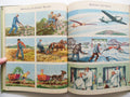 All Around Us Children's Book B, Basic Studies in Science Curriculum Foundation Series, Scott Foresman Copyright 1944
