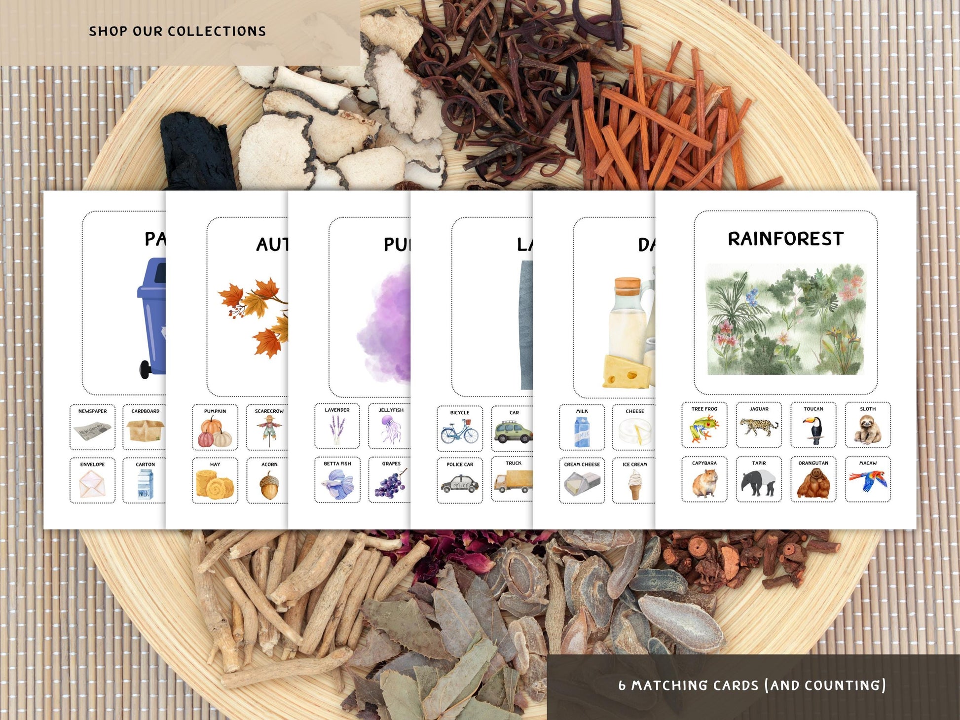 Sensory Taste Matching Game for Kids | Printable Food Flavor Sorting Cards | Learn Sweet, Salty, Sour, Bitter, Umami