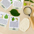 Printable Nature Journal Homeschool Learning Materials Charlotte Mason Nature Study Preschool Curriculum Toddler Busy Book Printable